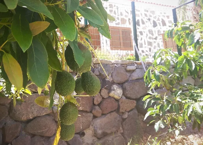 Casas Blancas -suites 2y3- R E L A X Feriehus Tasartico